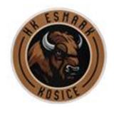 Logo Esmark Košice